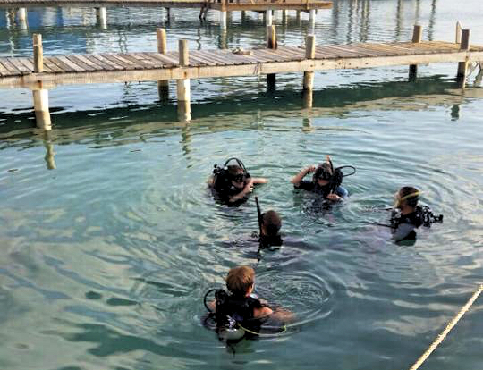 Learning to dive in Utila