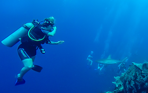 Nothing like just swimming along and then being joined by a sizable reef shark! 