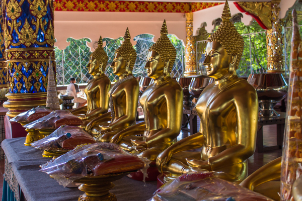 Buddhas with offerings at Wat Suan Dok. 